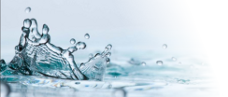 agua